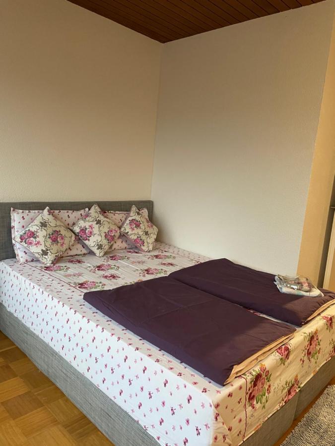 Flyhigh Apartment שטוטגרט מראה חיצוני תמונה
